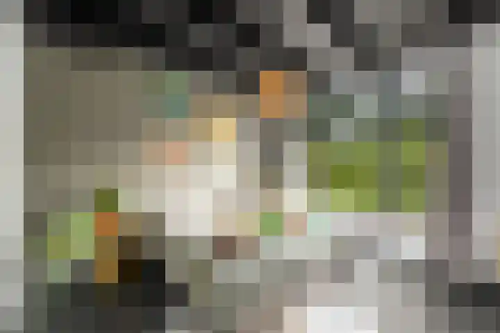 Sydtakke 18 Rottum thumbnail 16