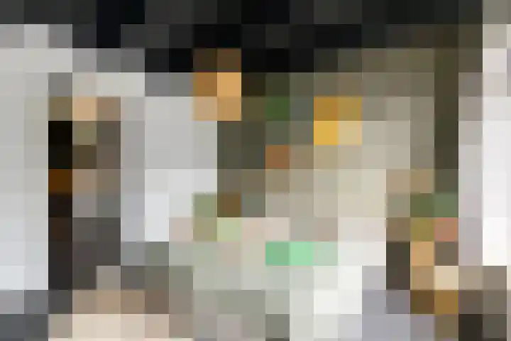 Sydtakke 18 Rottum thumbnail 17