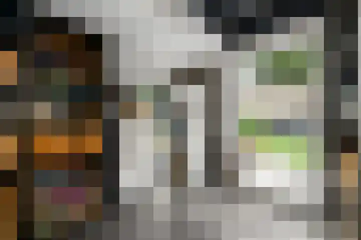 Sydtakke 18 Rottum thumbnail 18