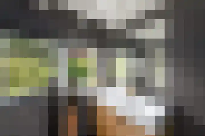 Sydtakke 18 Rottum thumbnail 19