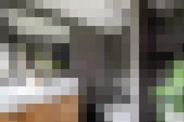 Sydtakke 18 Rottum thumbnail 20