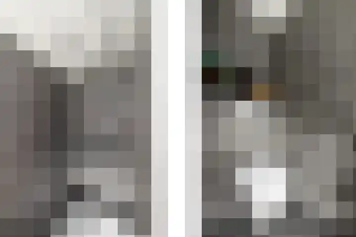 Sydtakke 18 Rottum thumbnail 21