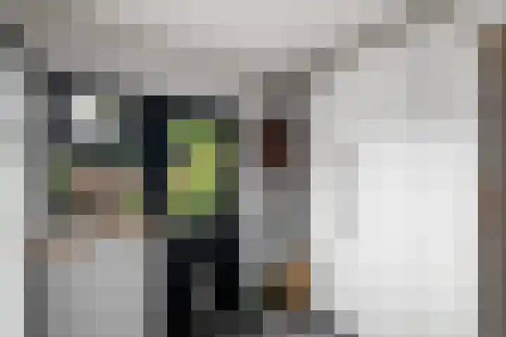 Sydtakke 18 Rottum thumbnail 23