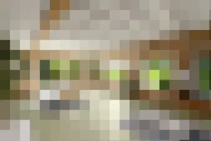 Sydtakke 18 Rottum thumbnail 25