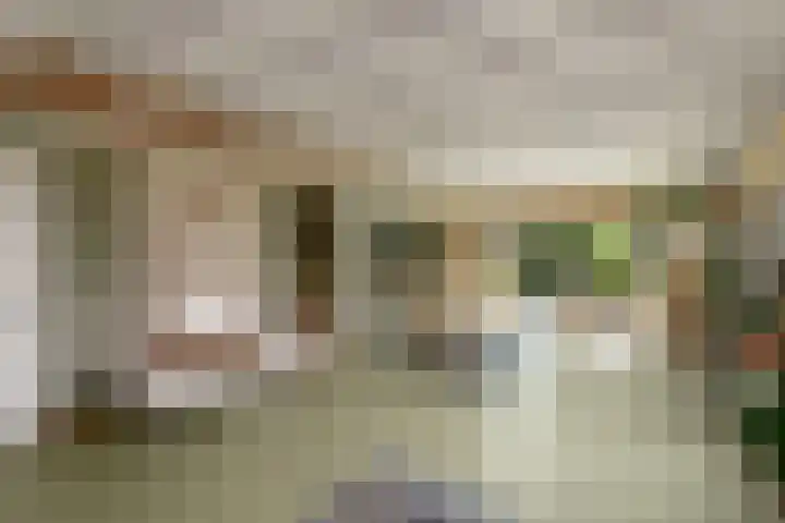 Sydtakke 18 Rottum thumbnail 26