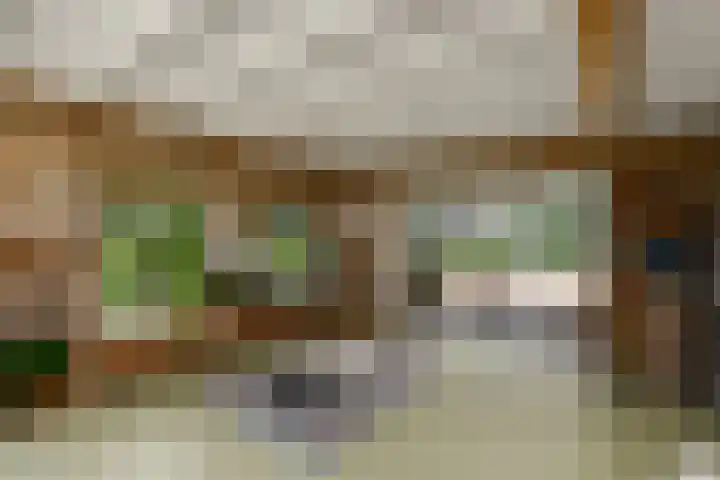 Sydtakke 18 Rottum thumbnail 27