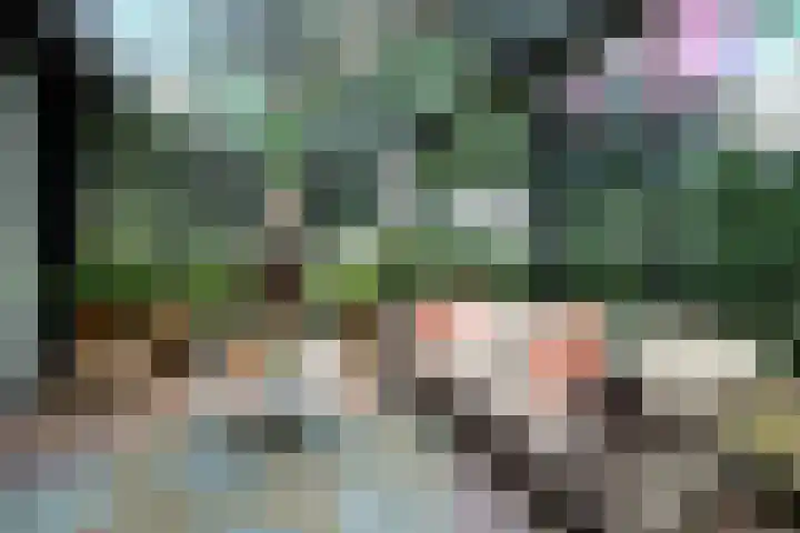 Sydtakke 18 Rottum thumbnail 28