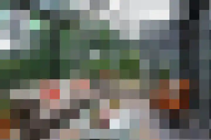 Sydtakke 18 Rottum thumbnail 29