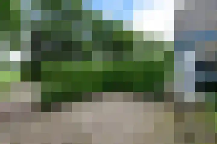 Sydtakke 18 Rottum thumbnail 31