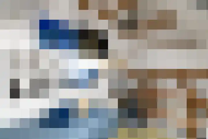 Sydtakke 18 Rottum thumbnail 33