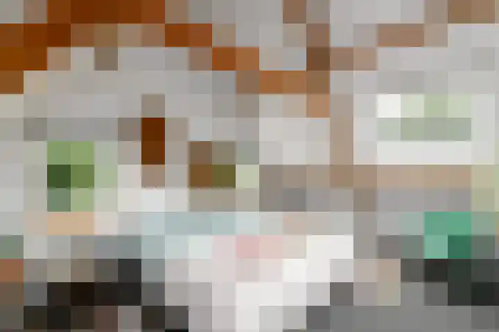 Sydtakke 18 Rottum thumbnail 36