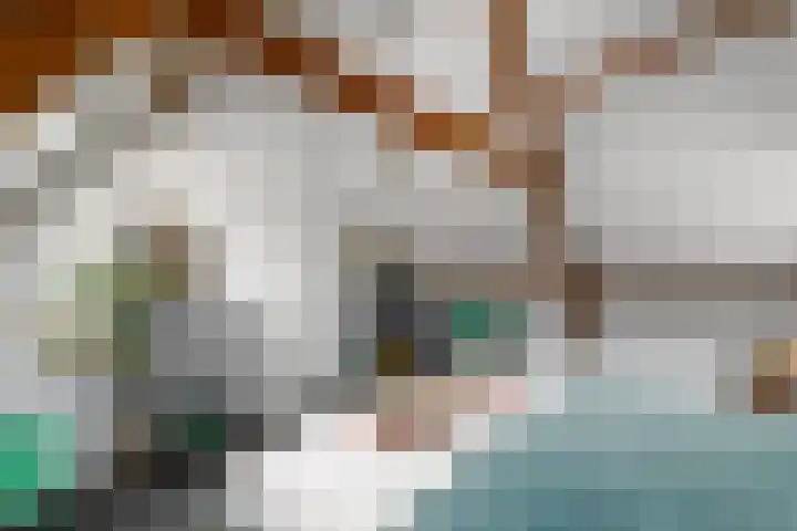 Sydtakke 18 Rottum thumbnail 37