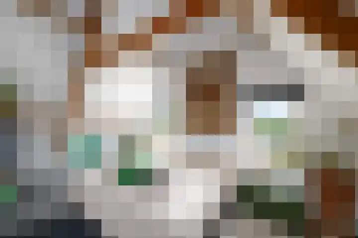 Sydtakke 18 Rottum thumbnail 38