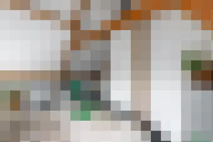 Sydtakke 18 Rottum thumbnail 39