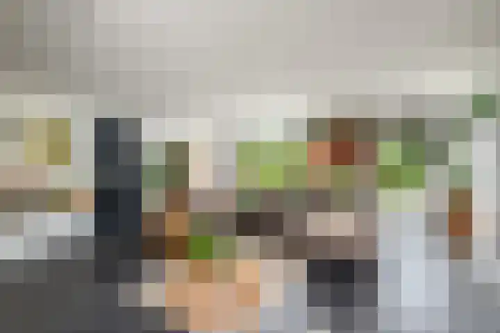 Sydtakke 18 Rottum thumbnail 4