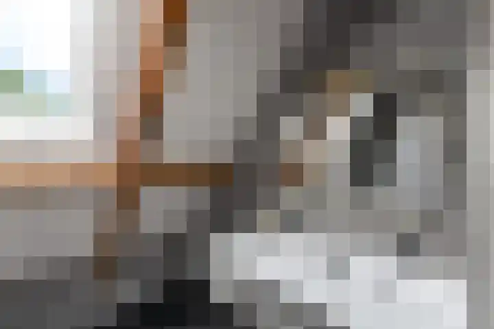 Sydtakke 18 Rottum thumbnail 40