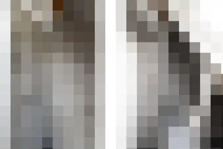 Sydtakke 18 Rottum thumbnail 41