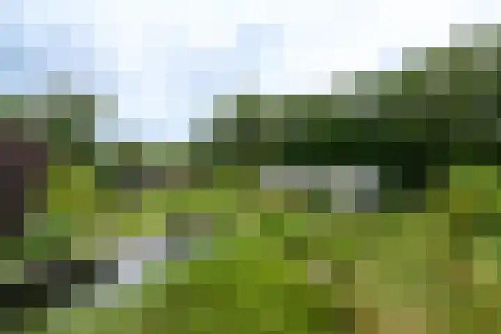 Sydtakke 18 Rottum thumbnail 42