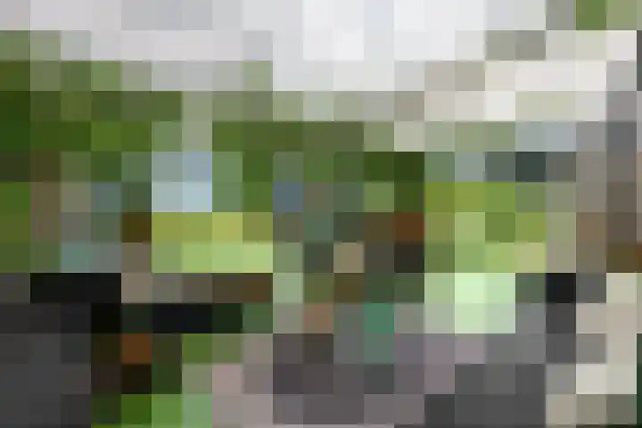 Sydtakke 18 Rottum thumbnail 43