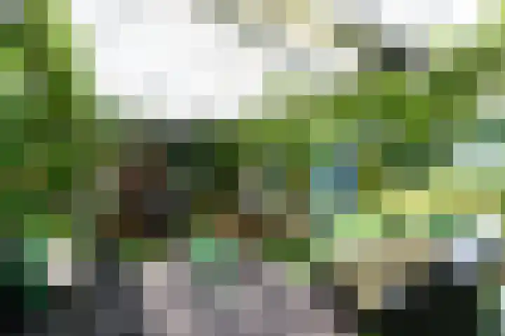 Sydtakke 18 Rottum thumbnail 44