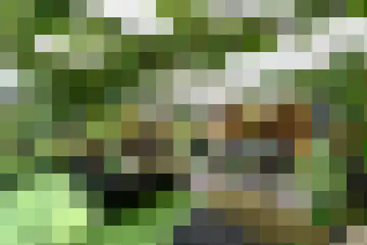 Sydtakke 18 Rottum thumbnail 45
