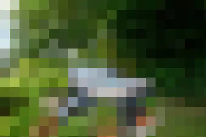 Sydtakke 18 Rottum thumbnail 47
