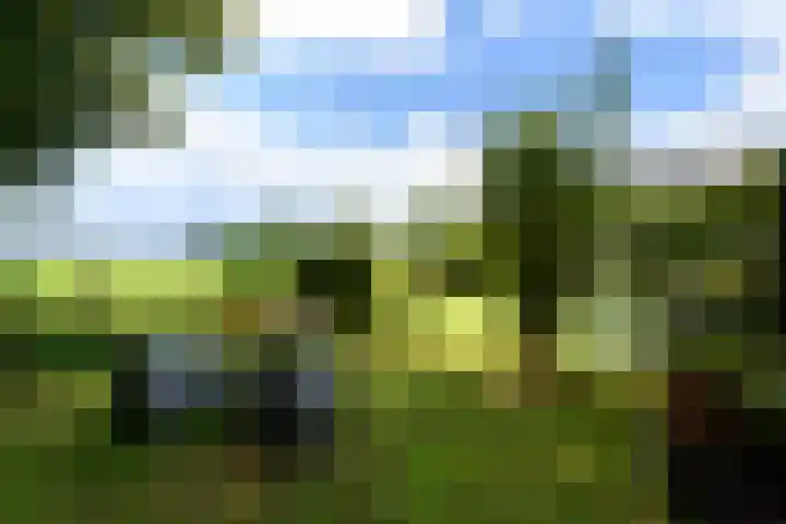 Sydtakke 18 Rottum thumbnail 49