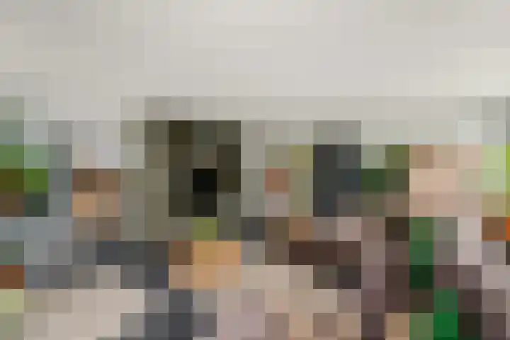 Sydtakke 18 Rottum thumbnail 5