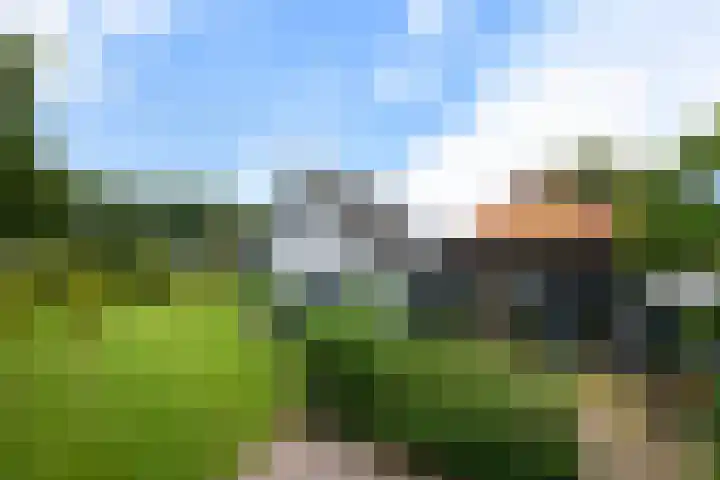 Sydtakke 18 Rottum thumbnail 51