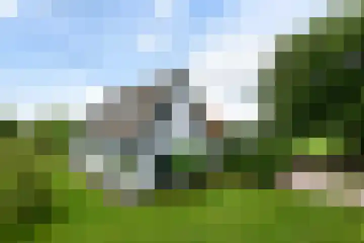 Sydtakke 18 Rottum thumbnail 52