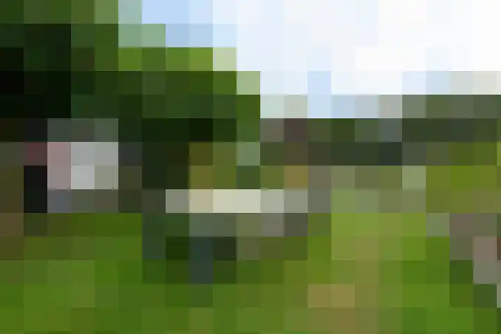 Sydtakke 18 Rottum thumbnail 53