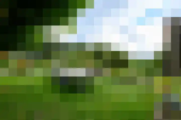 Sydtakke 18 Rottum thumbnail 54