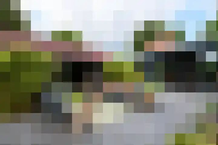 Sydtakke 18 Rottum thumbnail 55