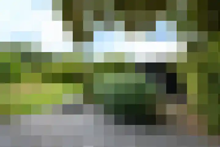 Sydtakke 18 Rottum thumbnail 56
