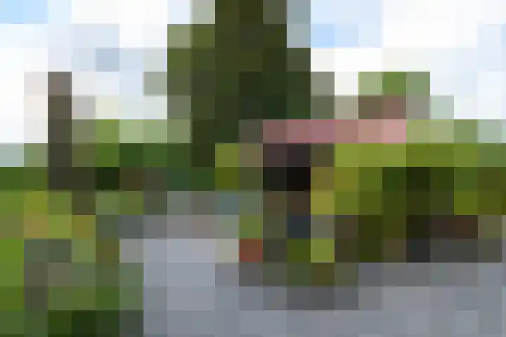 Sydtakke 18 Rottum thumbnail 57