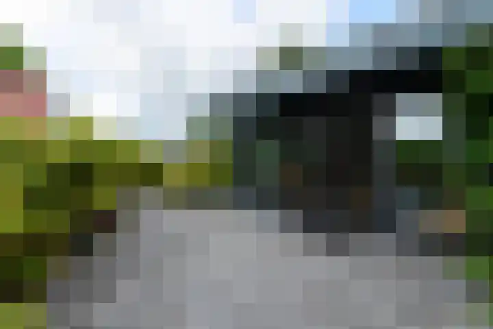 Sydtakke 18 Rottum thumbnail 58