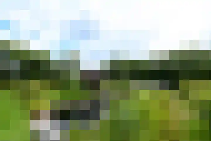 Sydtakke 18 Rottum thumbnail 59