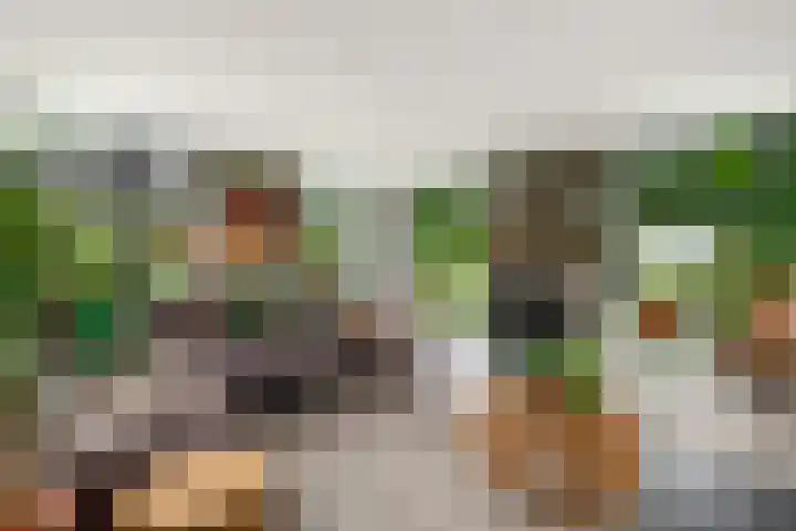 Sydtakke 18 Rottum thumbnail 6
