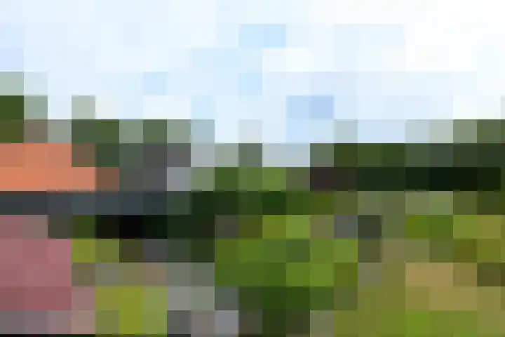 Sydtakke 18 Rottum thumbnail 60