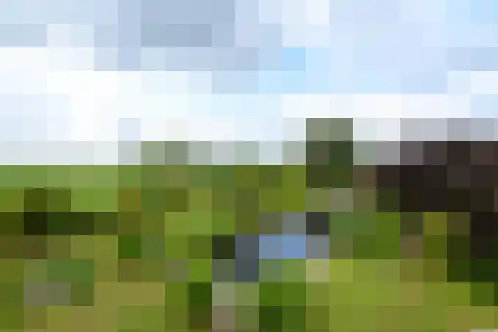 Sydtakke 18 Rottum thumbnail 61