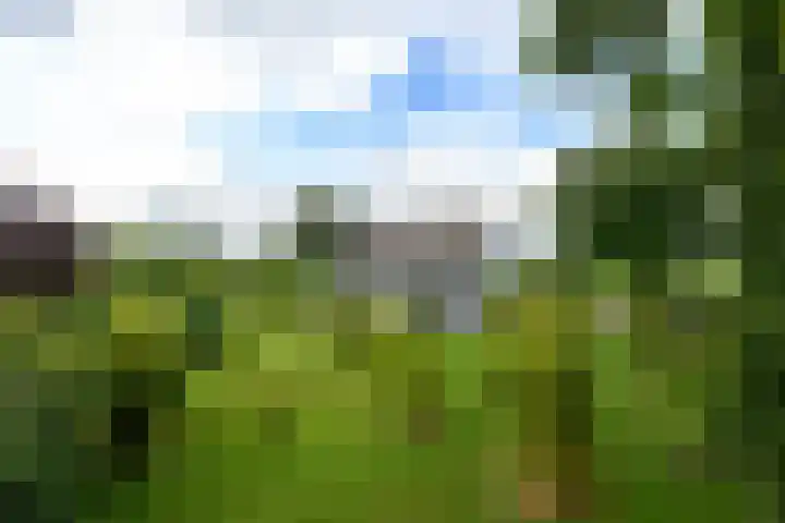 Sydtakke 18 Rottum thumbnail 62