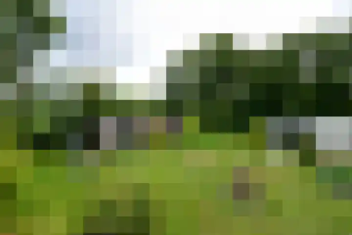 Sydtakke 18 Rottum thumbnail 63