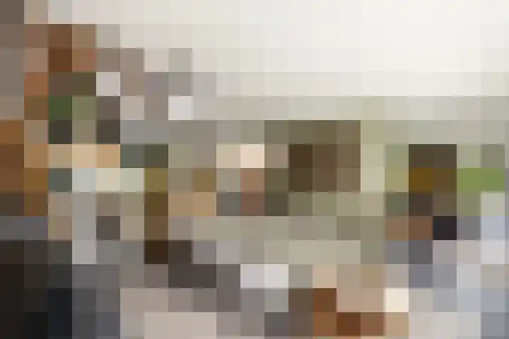 Sydtakke 18 Rottum thumbnail 7