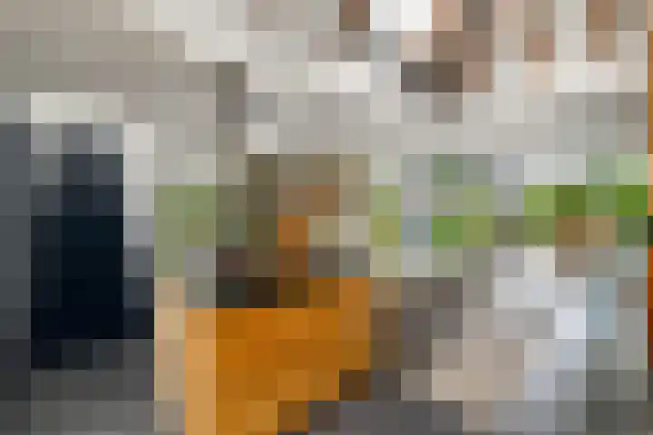 Sydtakke 18 Rottum thumbnail 8