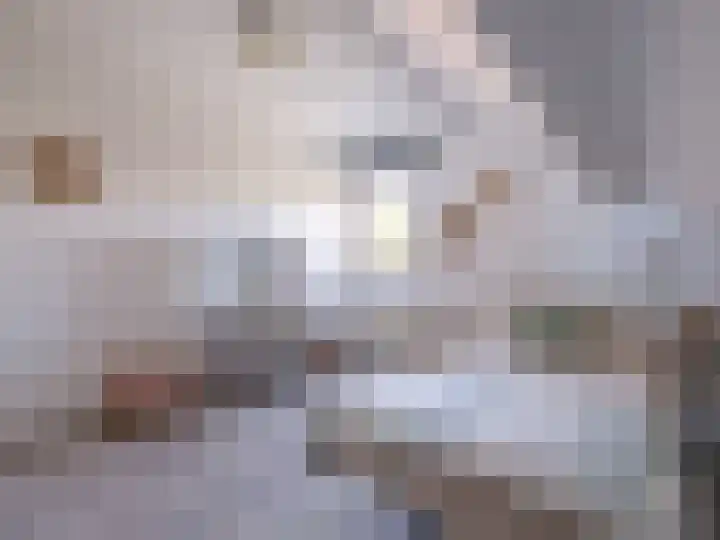 Sydwende 127 Drachten thumbnail 36