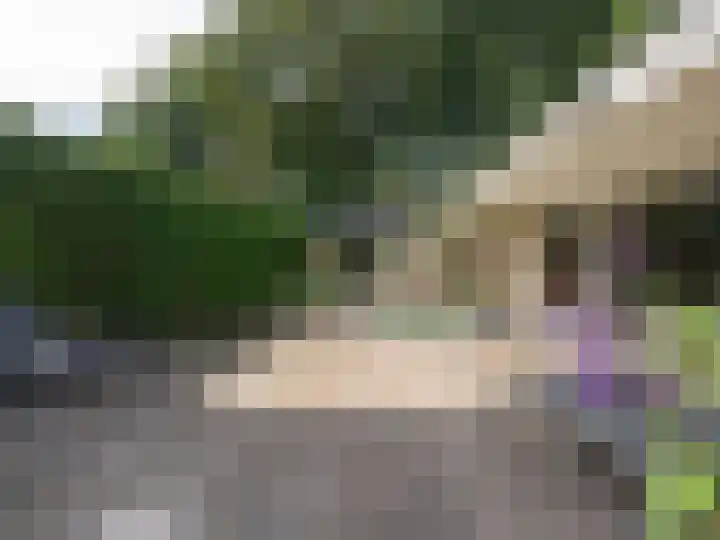 Sydwende 127 Drachten thumbnail 49