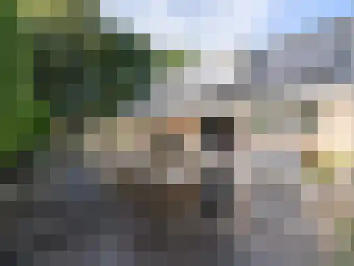 Sydwende 127 Drachten thumbnail 52