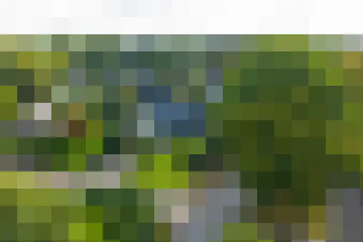 Sydwende 127 Drachten thumbnail 59