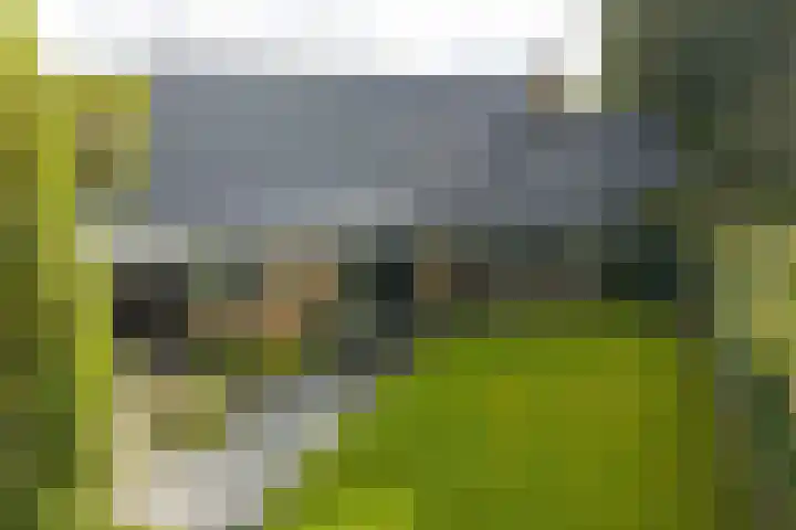 Sydwende 127 Drachten thumbnail 61