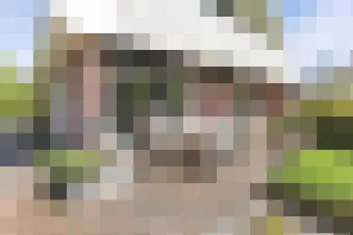 Sydwende 68 Drachten thumbnail 47